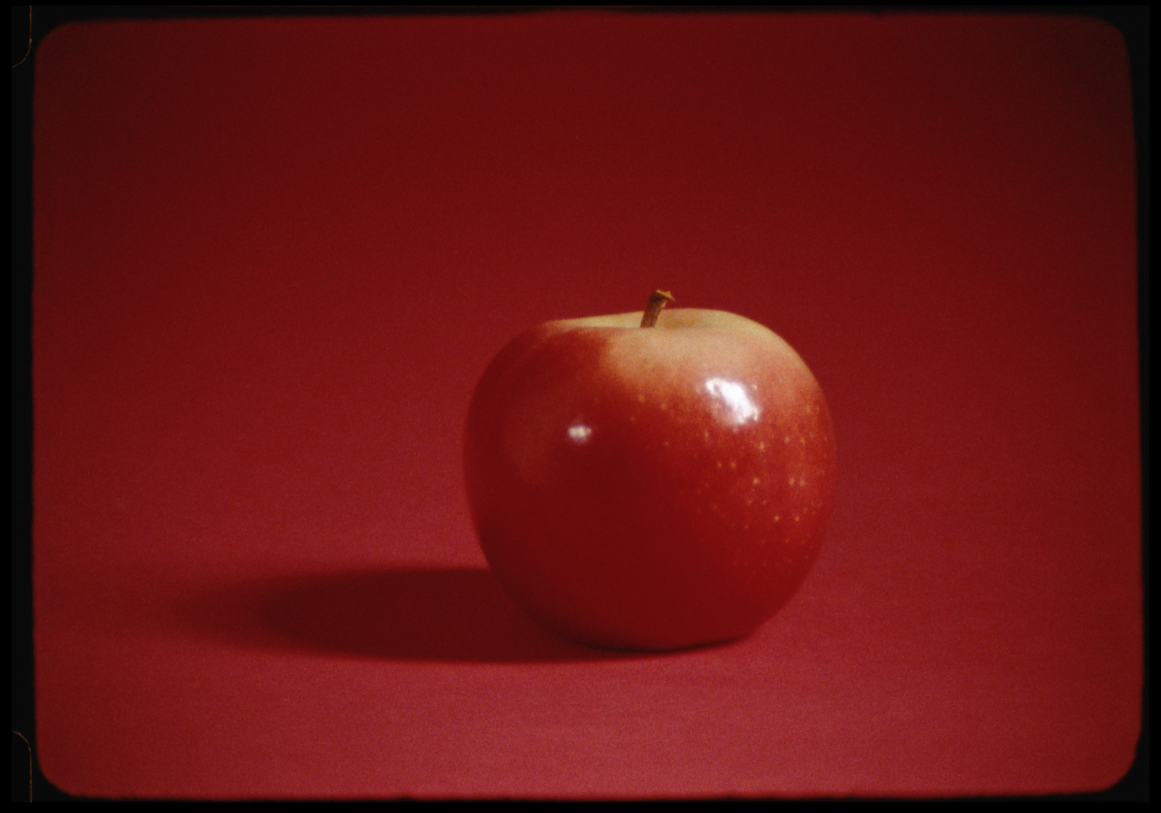 Project 01 still 04